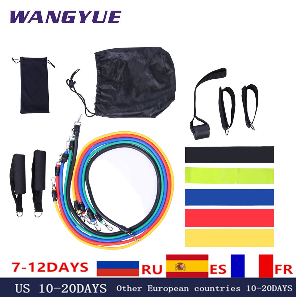 17Pcs/Set Latex Loop Tube Resistance Bands with Gym Door Anchor, Ankle Straps and Bag